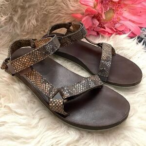 TEVA Universal Sandals Eiffel Tower Snake Print 9